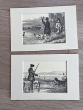Pair small hunting for sale  HUNSTANTON