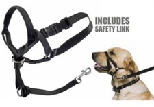 Dog training halter for sale  GRANTHAM