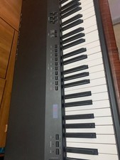 Pianoforte elettrico professio usato  Palermo