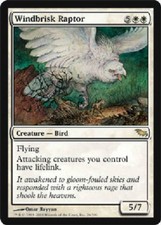 Cartões de Magic the Gathering Windbrisk Raptor Shadowmoor MTG Magic DJMagic comprar usado  Enviando para Brazil