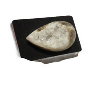 Quarz muschel schnecke gebraucht kaufen  Ering
