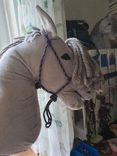 Hobby horse steckenpferd gebraucht kaufen  Wölfersheim