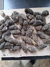 Barn owl pellets for sale  REDCAR