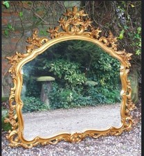 Beautiful large fancy for sale  EDINBURGH