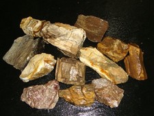 Old mixed petrified for sale  Dyer