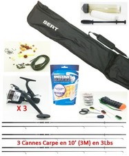 Pack complet carpe d'occasion  Audruicq