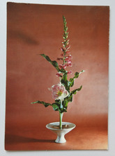 1498 ikebana shusui gebraucht kaufen  Wörth am Rhein