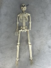 Vintage full body for sale  PENRYN
