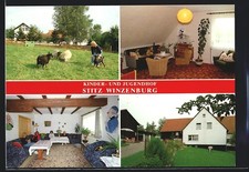 Winzenburg leinebergland kinde gebraucht kaufen Winzenburg leinebergland kinde gebraucht kaufen  Berlin