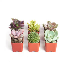 Unique assortment hand for sale  Houston