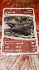 Zeanien schätze unseres gebraucht kaufen  Großröhrsdorf