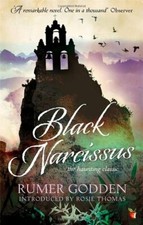 Black narcissus virago for sale  UK
