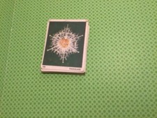 Panini degli animali usato  Poirino