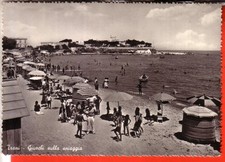 Cartolina trani viaggiata usato  Italia