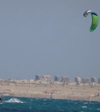 Kite north vegas gebraucht kaufen  Aurich