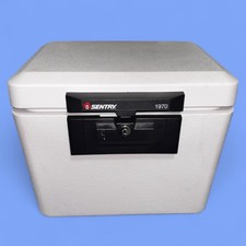 Sentry fire proof for sale  Naples