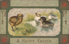 Easter chicks chick for sale  USA