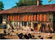Ain bresse ferme d'occasion  Fruges