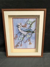 Framed blue jay for sale  DINGWALL