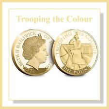 Trooping colour gold for sale  BIRMINGHAM