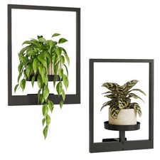 Plant stand indoor for sale  Brentwood