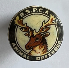 Early rspca animal for sale  PRESTON