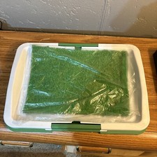 Puppy toilet training for sale  Fennville