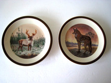National wildlife federation for sale  Adrian