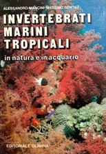 Invertebrati marini tropicali usato  Firenze