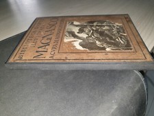 Magnasco biblioteca arte usato  Roma