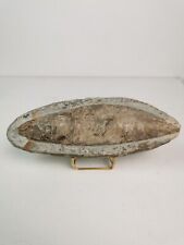 Fossil fish curiosity d'occasion  Expédié en Belgium