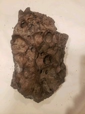 Large black lava for sale  Arlington