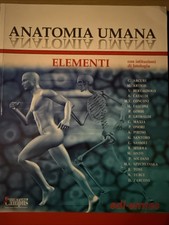 Anatomia umana elementi usato  Motta di Livenza