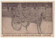 Voiture chien. grand d'occasion  Saint-Mandé