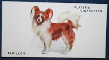 Papillon vintage 1931 for sale  DERBY