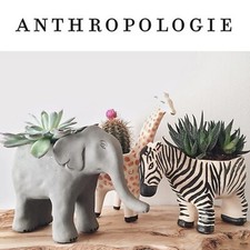 Anthropologie retired safari for sale  Massapequa