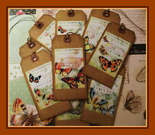 Beautiful butterflies spring for sale  Oklahoma City