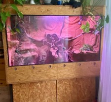 Terrarium 140x60x100 rückwand gebraucht kaufen  Köln