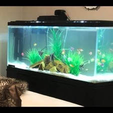 Tetra complete led for sale  Longmeadow