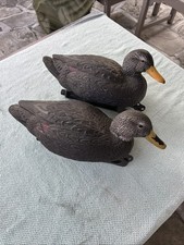 Two hard core for sale  Greenville