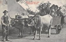 4212) COSTUMI DELLE CAMPAGNE SENESI (SIENA) CARRO CON BUOI. VIAGGIATA NEL 1910. comprar usado  Enviando para Brazil