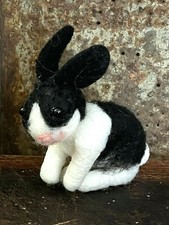 Black white dutch for sale  Columbia