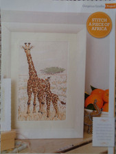 Gorgeous african giraffes for sale  TONBRIDGE