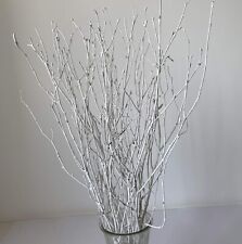 Decorative birch branches for sale  Salem