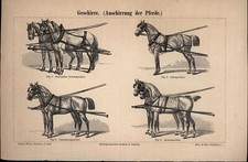 Geschirre fig rationelles gebraucht kaufen  Deutschland