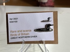 Rspb interest great for sale  BEDFORD