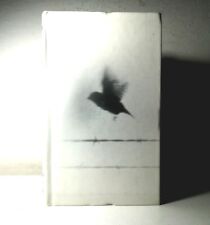 Pettirosso nesbo libro usato  Italia