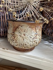 Quantock pottery plant for sale  TAUNTON