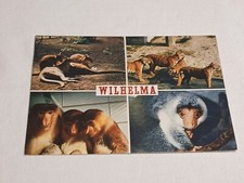 R45 ansichtskarte postkarte gebraucht kaufen  Donzdorf