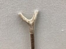 Red deer antler for sale  SALTBURN-BY-THE-SEA